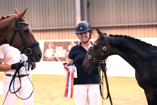 Stratton Stud youngstock